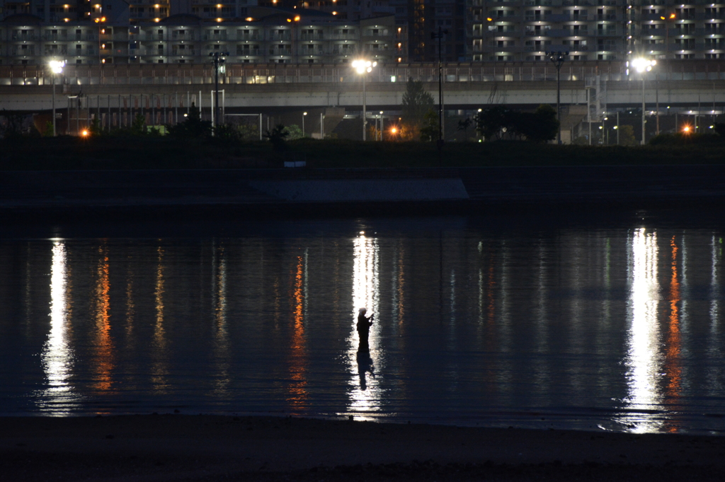 夜釣り