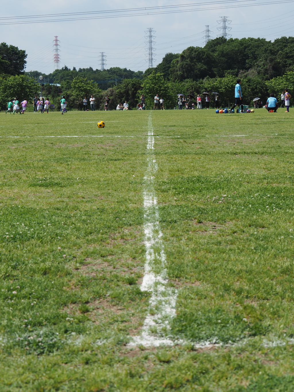 ハーフライン