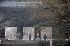 雪の三門