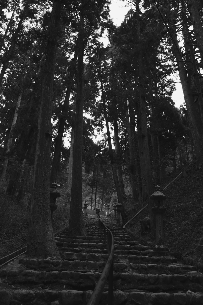 西塔へ向かう道