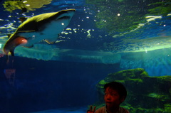 緊張してます^^