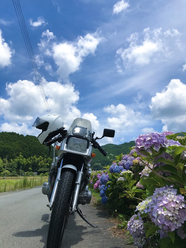 梅雨の晴れ間に