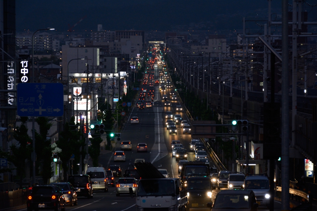 クリスマスツリーみたい？