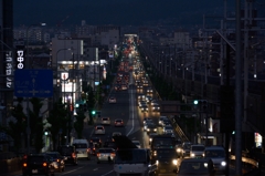 クリスマスツリーみたい？