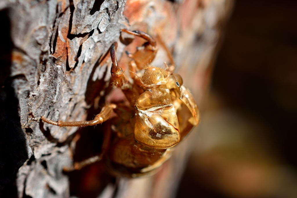 ひと冬越した！