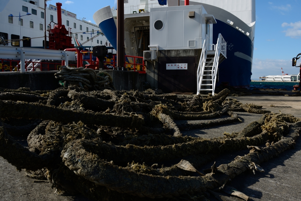 とぐろ～南港埠頭