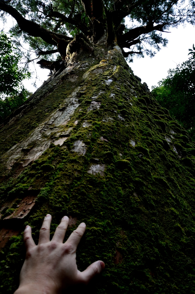 パワーを下さい。