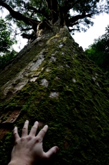 パワーを下さい。