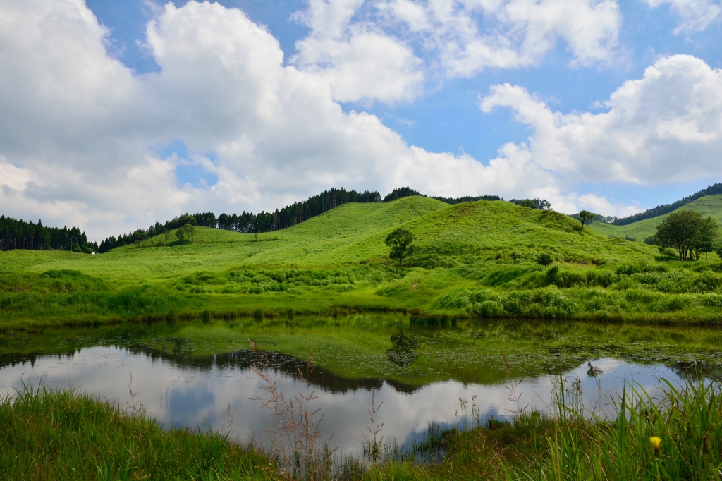 夏空～砥峰高原