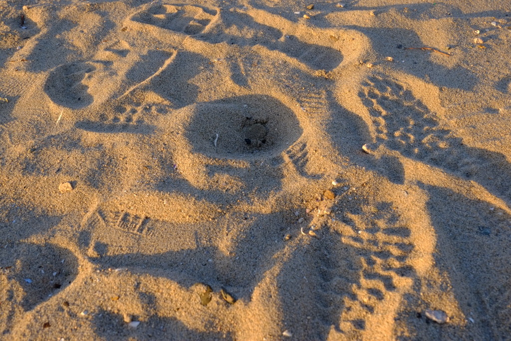 アンパンマンに見えちゃって(>_<)