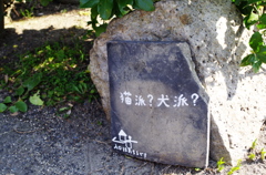 あなたはどっち？