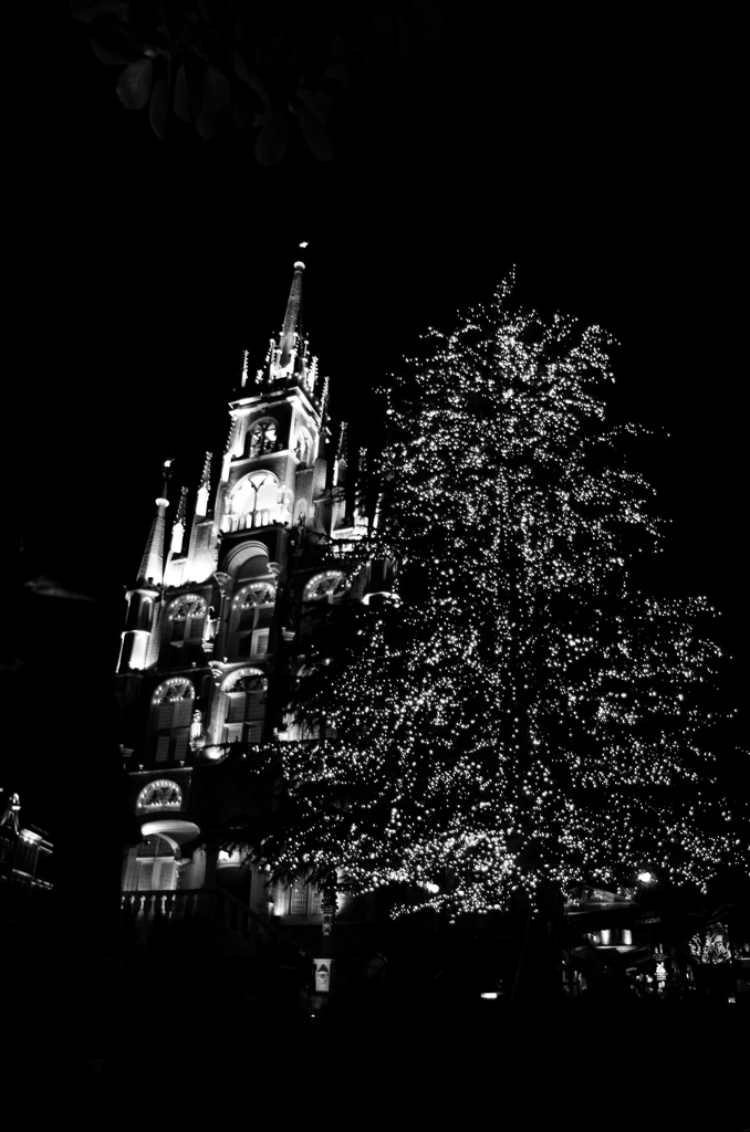 IMGP8980a