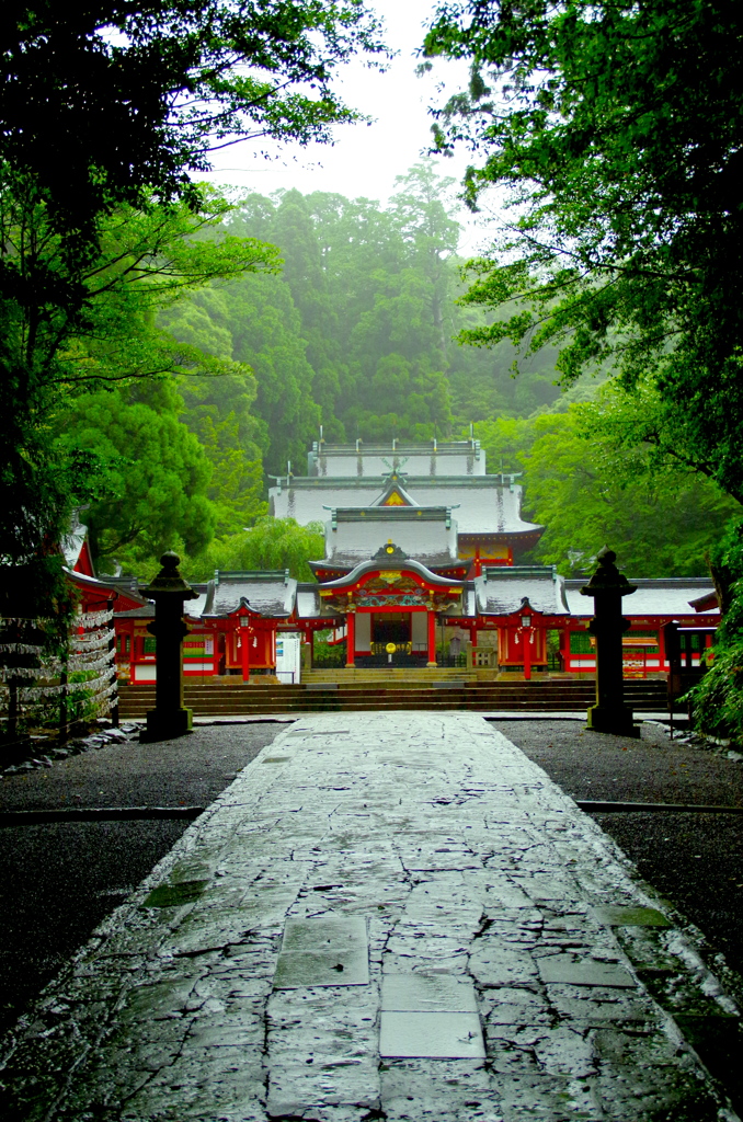 IMGP8689a