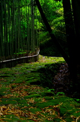 IMGP8771a