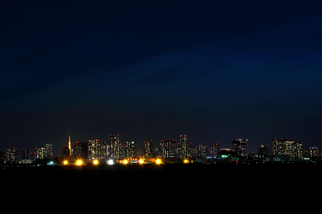 Tokyo Night Lights