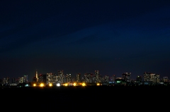 Tokyo Night Lights