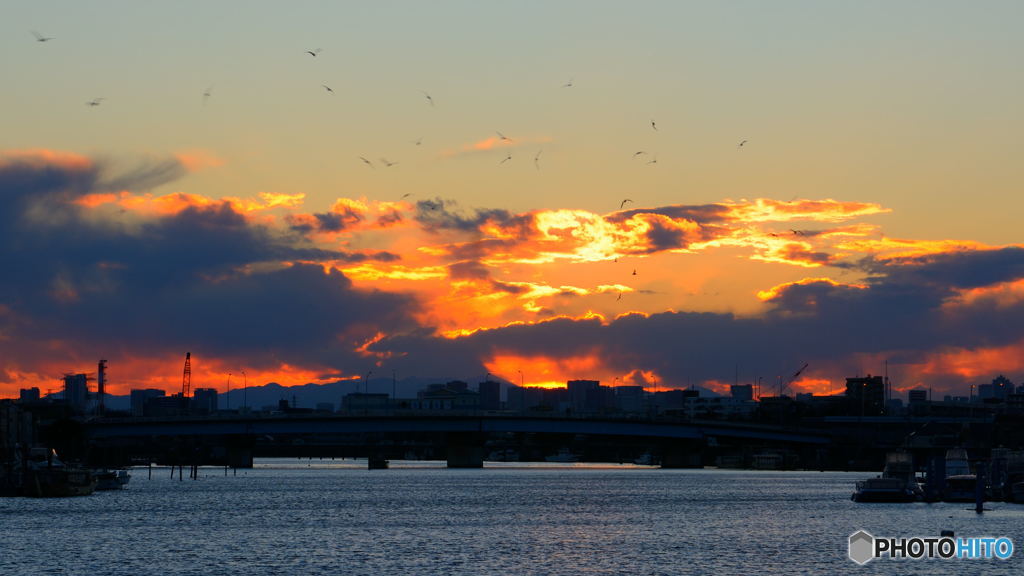 夕空に舞う