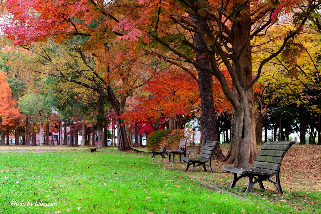 緑と錆色の公園