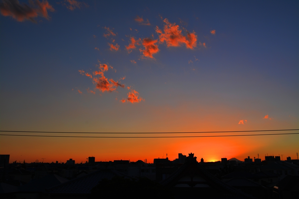 意地悪な電線