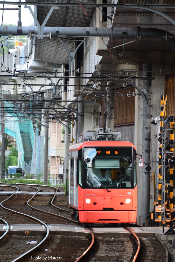 東京さくらトムス（都電荒川線）