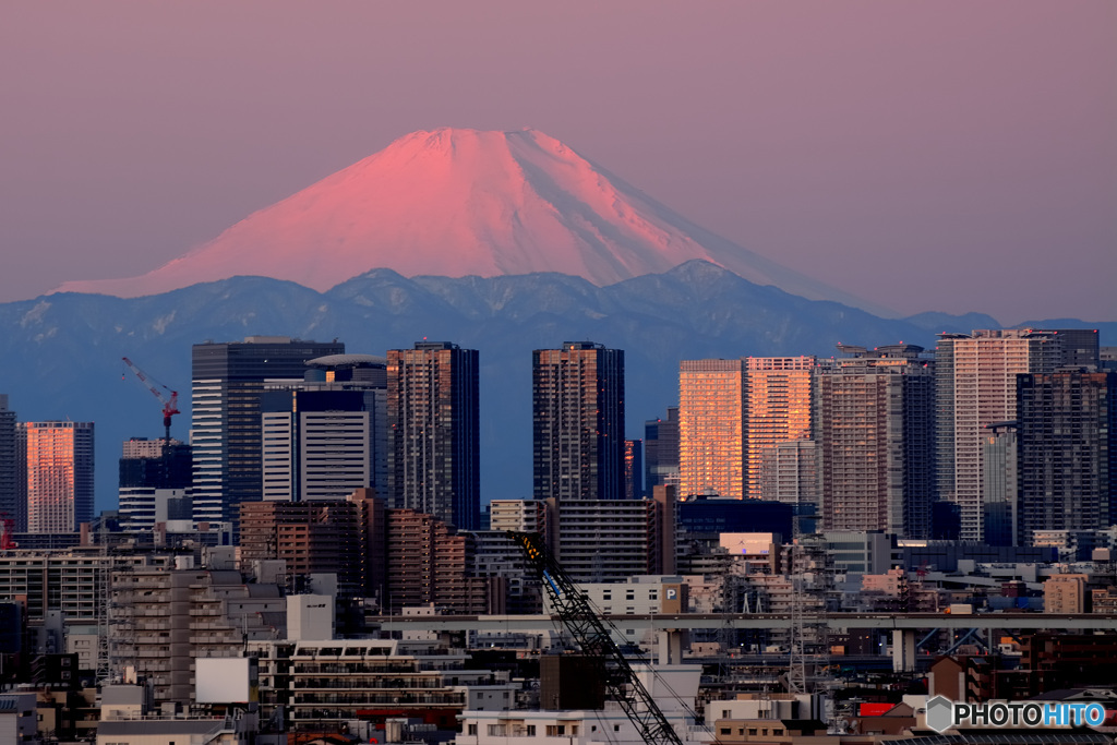 朝日に染まる