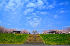 桜堤の空と雲