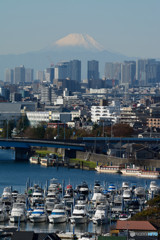 富士山を望む