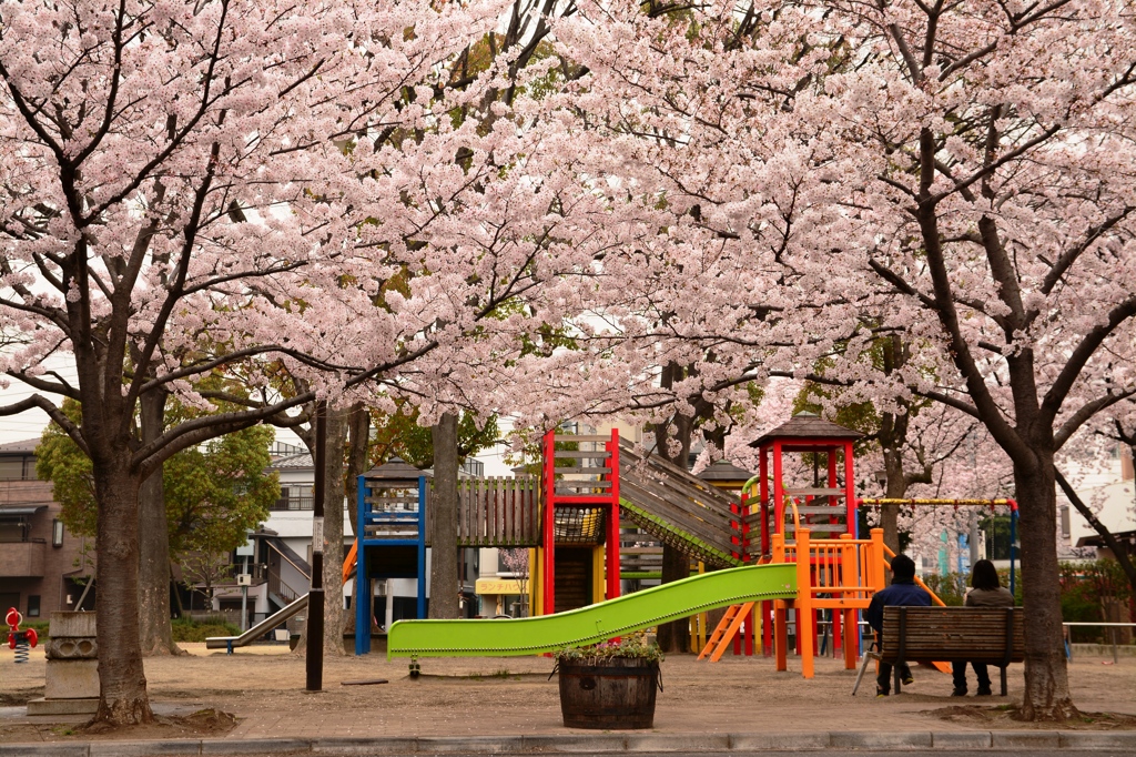 ある公園の風景