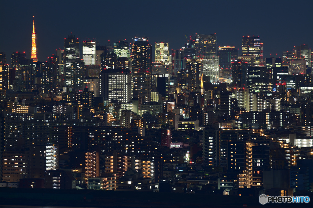 Tokyo Night Lights Ⅱ