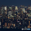 Tokyo Night Lights Ⅱ