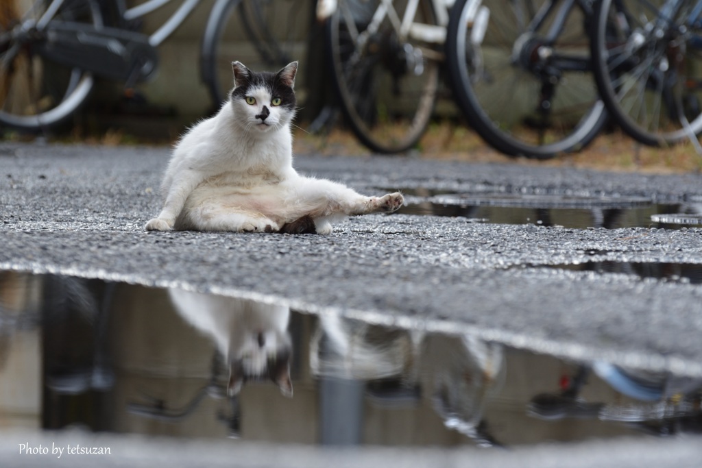 ちょっとだけよ～