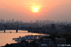 霞む都心の空