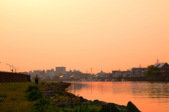 江戸川の朝の風景①