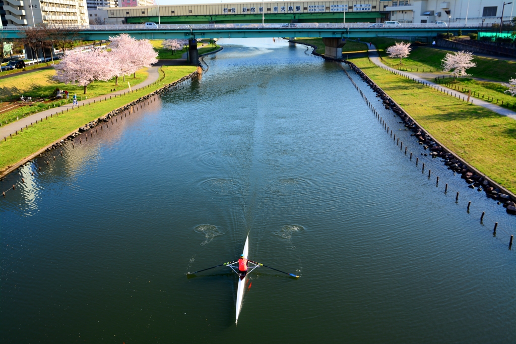 アメンボのように①