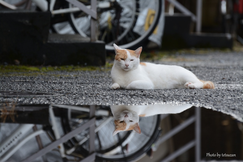 雨上がり
