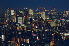 Tokyo Night Lights