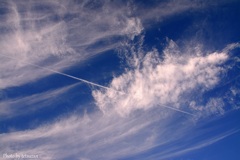 飛行機雲