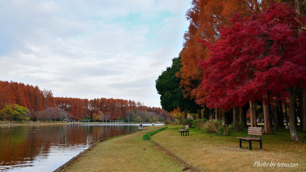 晩秋の公園