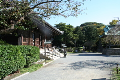 島田雄貴「お寺の開けた場所」