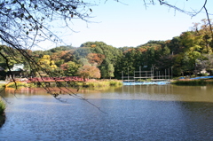 島田雄貴「池に架かる橋」