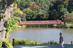 島田雄貴「赤い橋」