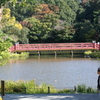 島田雄貴「赤い橋」