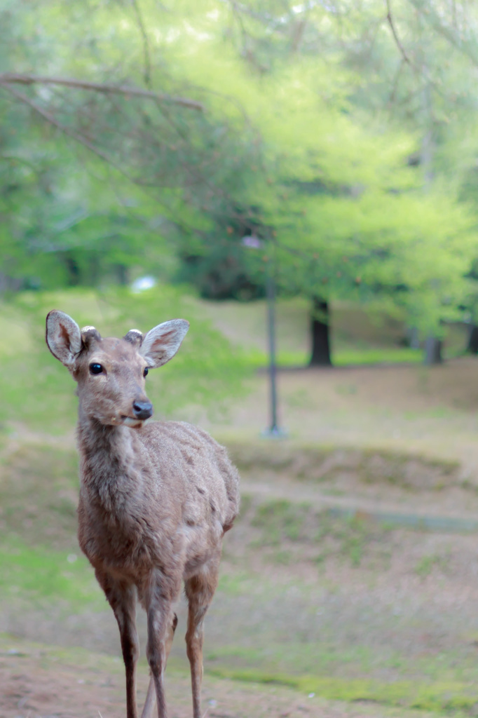 そこ、どいて