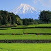 富士山と茶畑