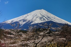 富士山　2017春