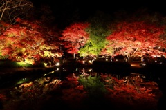 曽木公園　紅葉