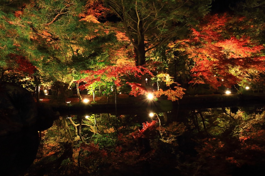 曽木公園　紅葉