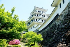 郡上八幡城　外観
