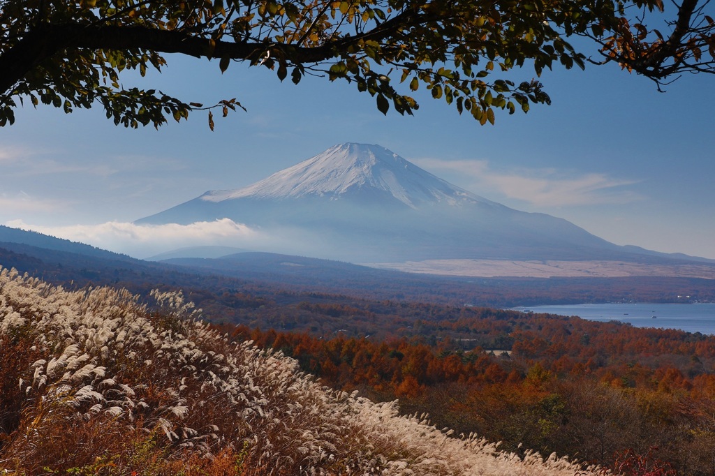 富士山