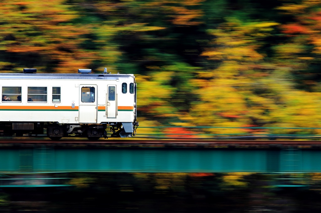 高山本線　紅葉